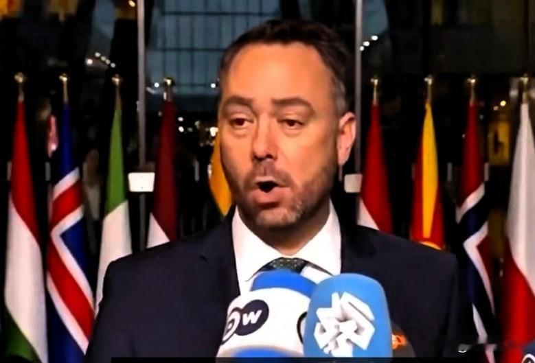 比利时外交部长马克西姆·普雷沃表示：“我们感到失望的是，我们的意见似乎无人倾听。