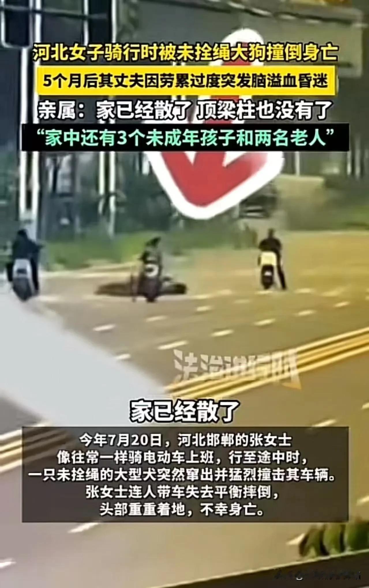 太悲剧了！河北这位icon女子，原本只是为了追逐梦想的骑行爱好，却在无意中成为了