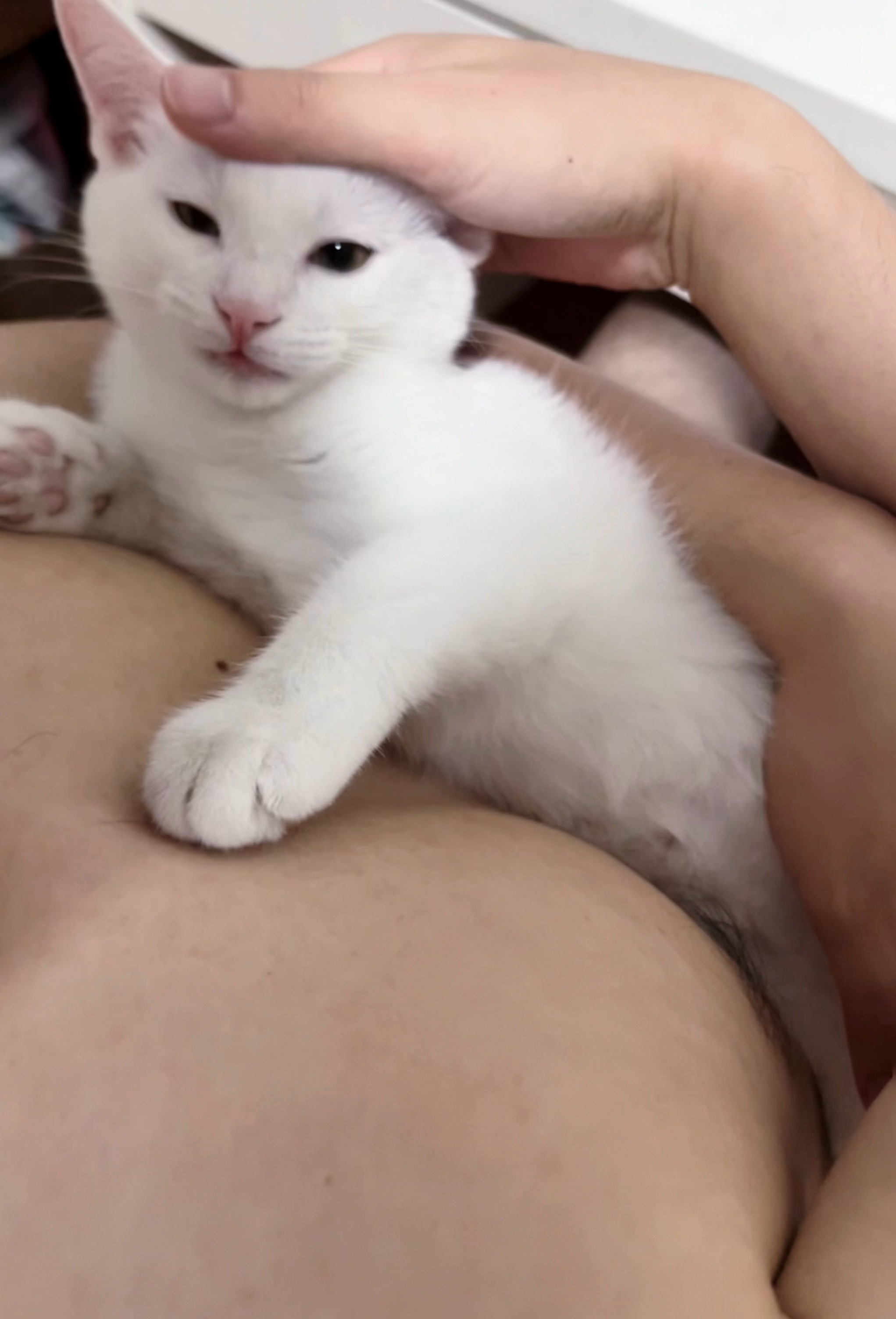 小奶音vs直男夹子音