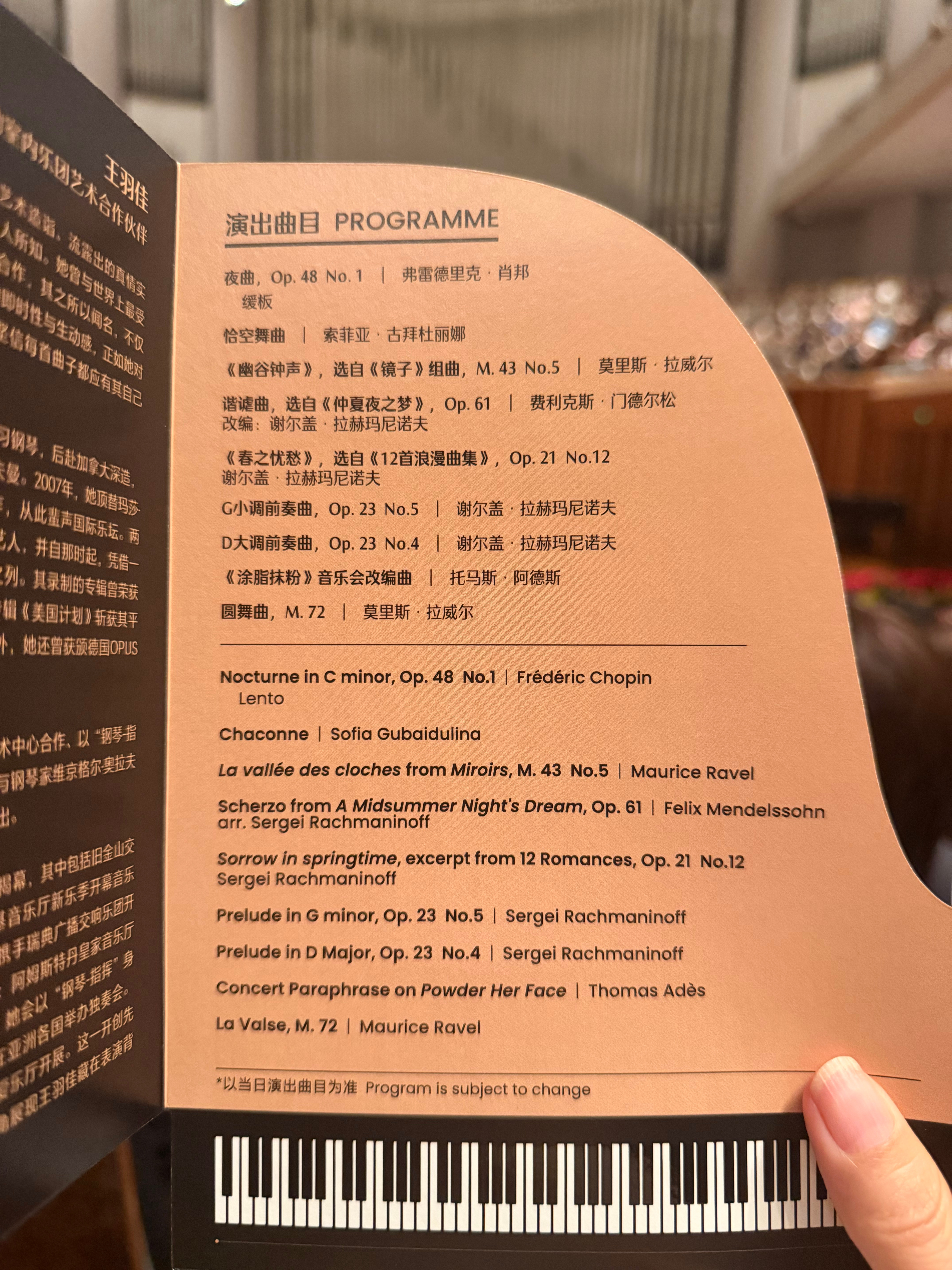 今年六一的快乐🎈是返场十几首的王羽佳给的🎹我的日常plog 北京·国家大剧院