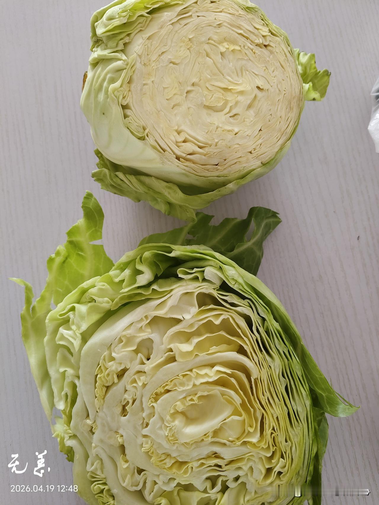 今天的圆白菜超市是0.99一斤，外边的大车上是五块钱三个，
只是好像品种不一样。