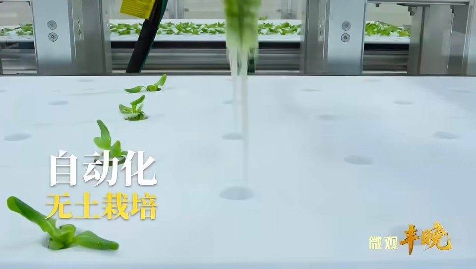 2026丰收节晚会落地福建2026丰收节晚会落地福建浦城！无人机、AI种地硬核刷