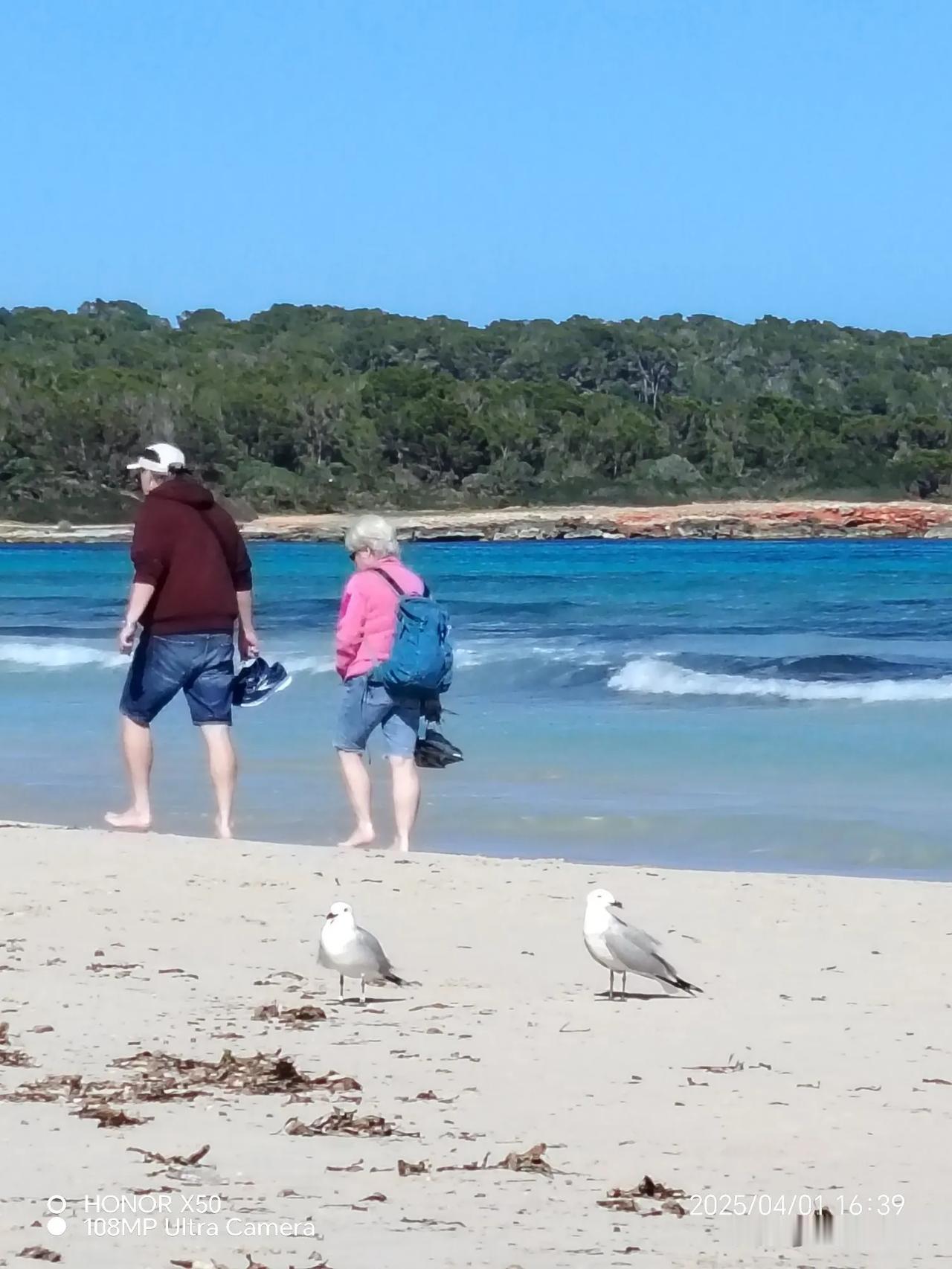 晒图笔记大赛人要成对，鸥要成双，海滩漫步，和谐共享。