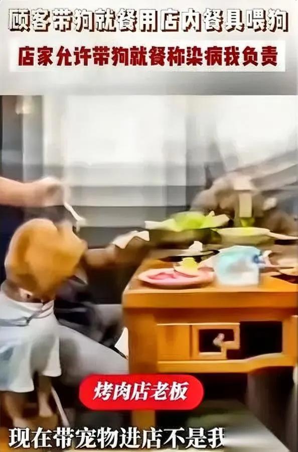 带狗进店吃饭

老板太刚了

你绝对想不到他放出的话有多狠。

马鞍山这家烤肉店