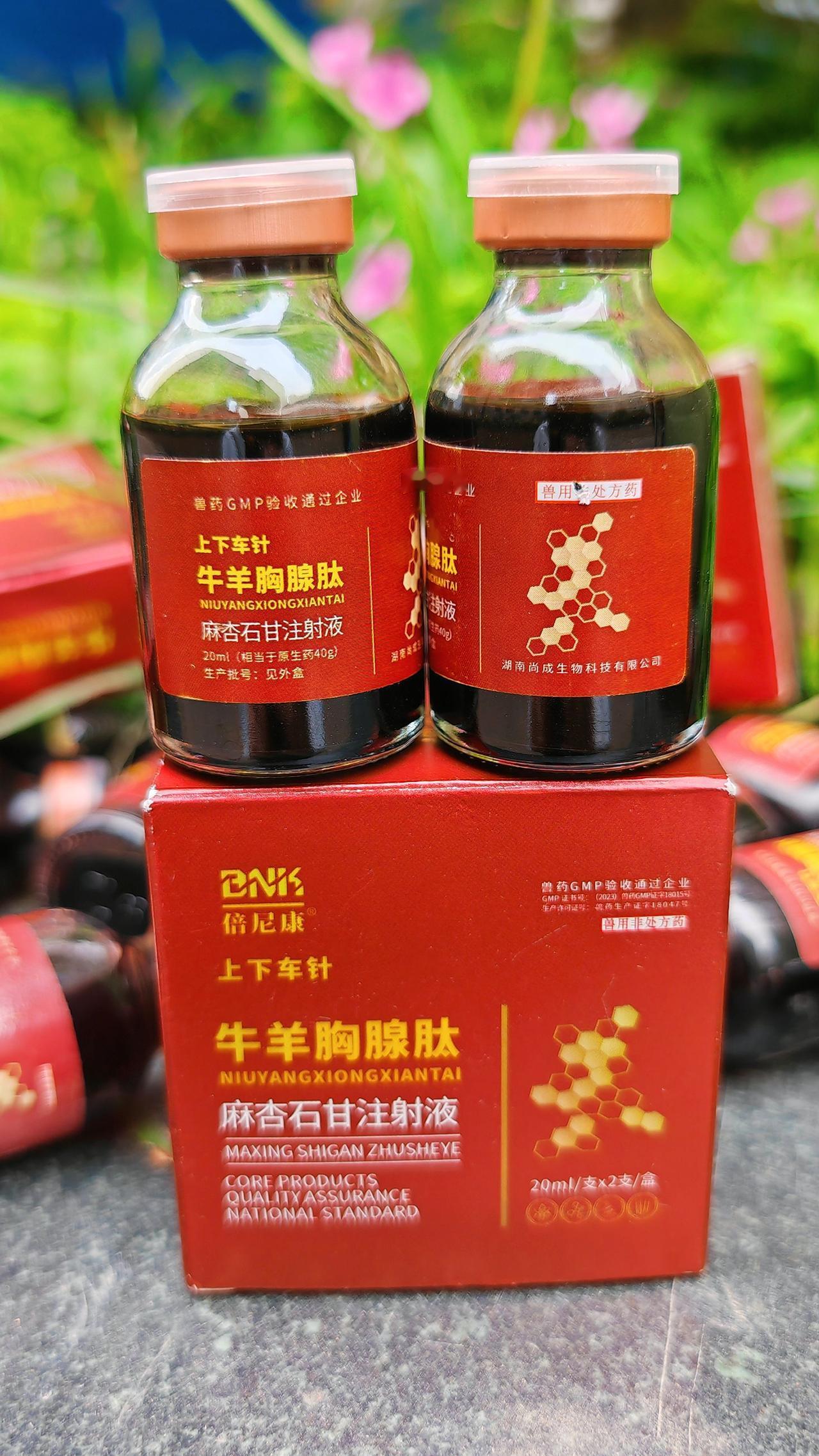 养羊人 农村养羊