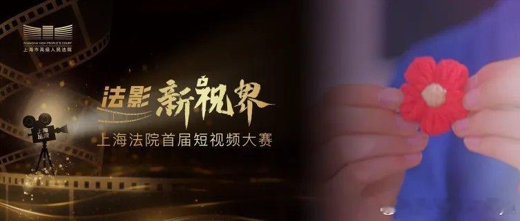 #西瓜的小基地[超话]# 围绕上海法院“政治建设引领、司法质效为本、数字改革赋能