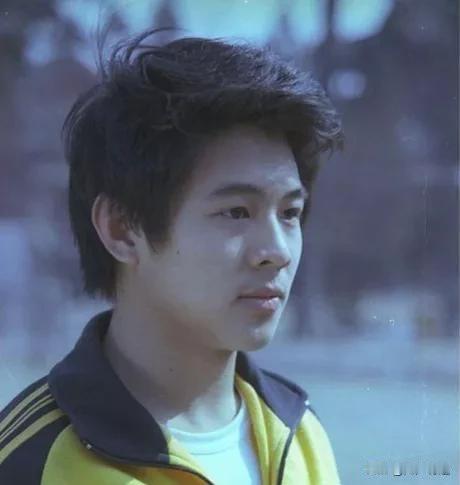 这是20岁左右的李连杰，嗯，容貌……除了年轻，倒不见得有多吸引人，倒是他那一头乌