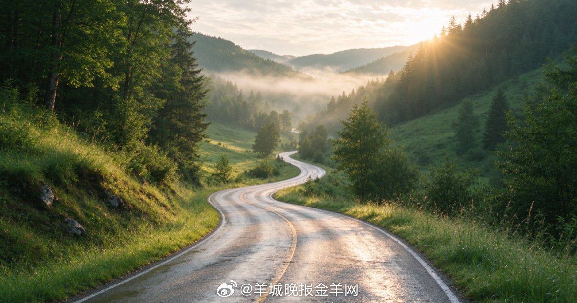 #早安# 晨光落在夏末的山间公路上，远处山谷飘着轻薄晨雾，路旁草木带着雨后的湿润