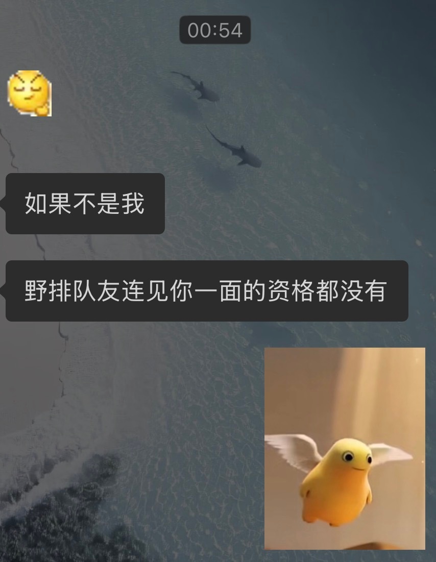 双排姐妹对我的赞誉