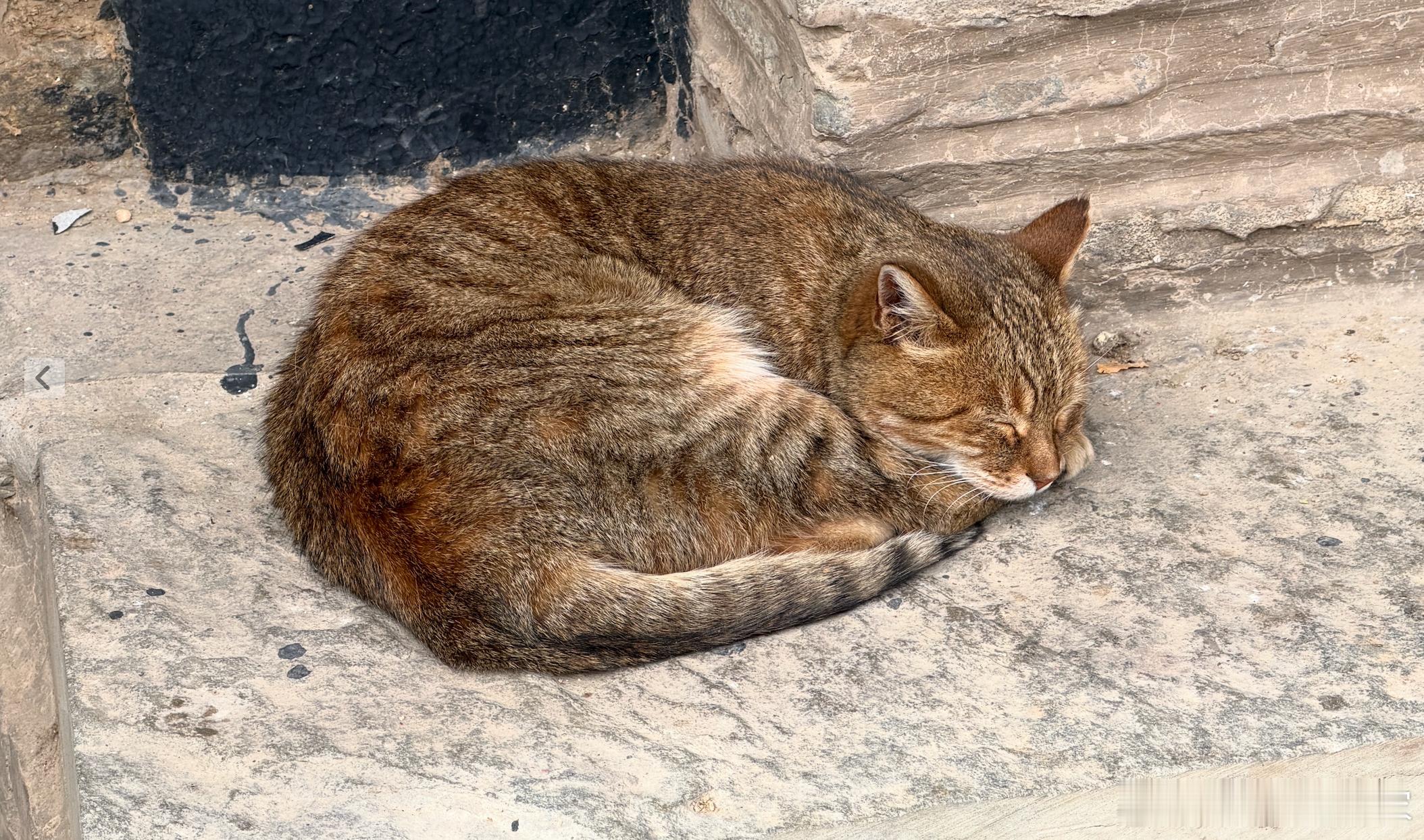 这几天，因为郑智化怒斥深圳机场引发的广泛议论，突然让我想起曾经老师在2010和2