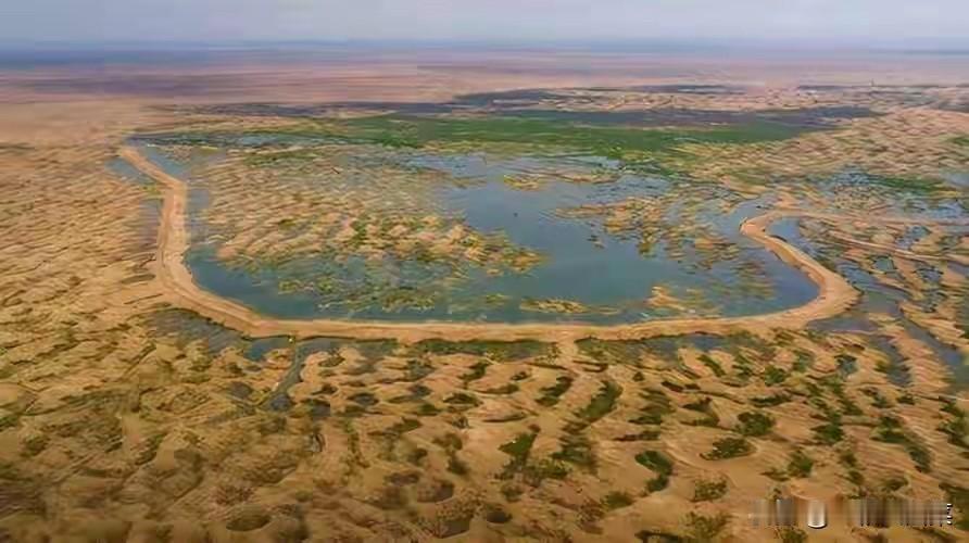 内蒙古出现罕见奇迹，将黄河的水引入沙漠后，竟产生这般景象

这个