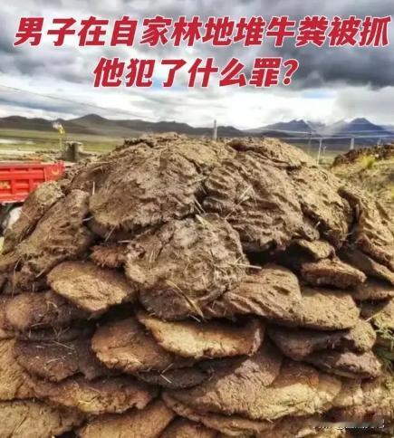 内蒙古通辽，一男子在牛肉厂里打工，看到厂里有大量牛粪堆积，而处理牛粪的成本非常高