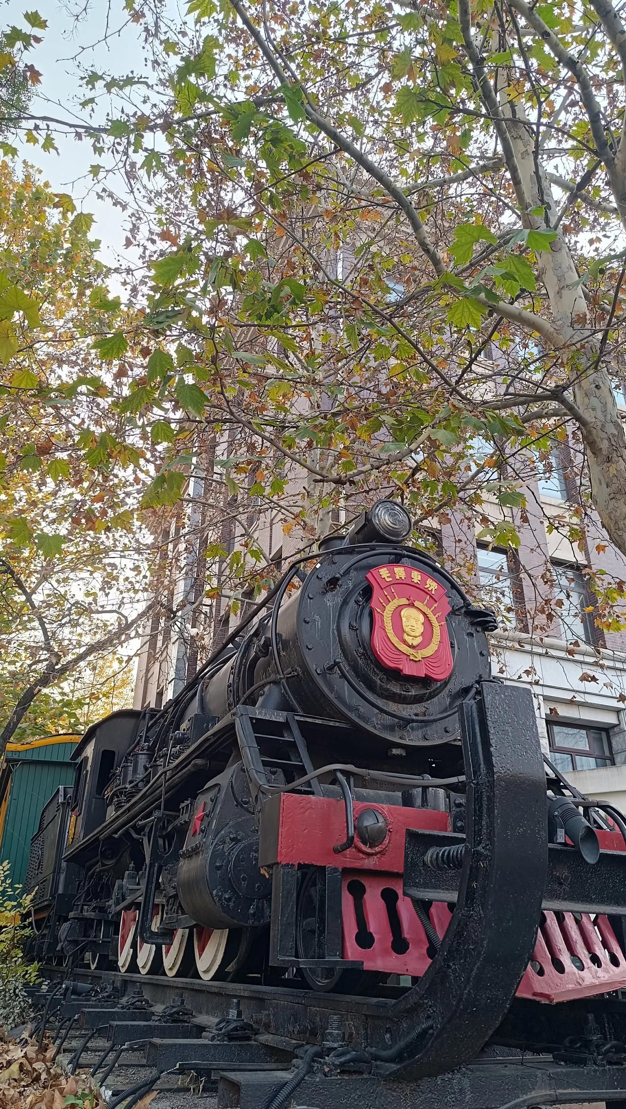 打卡位于鲁迅路上的大连图书馆✌这座图书馆始建于1912年，当时叫满铁图书馆，曾被