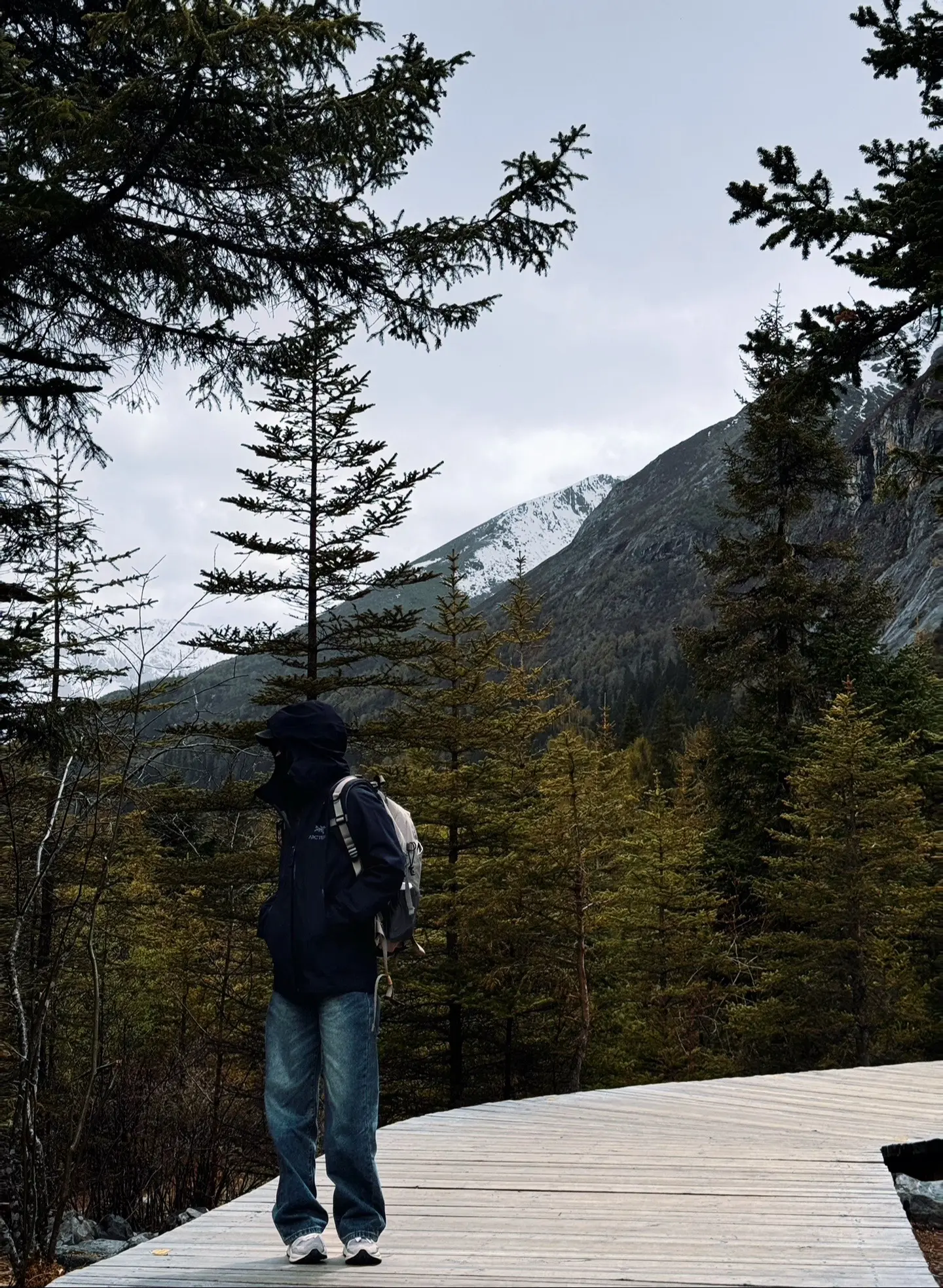 爱或许重要 但自由更胜一筹