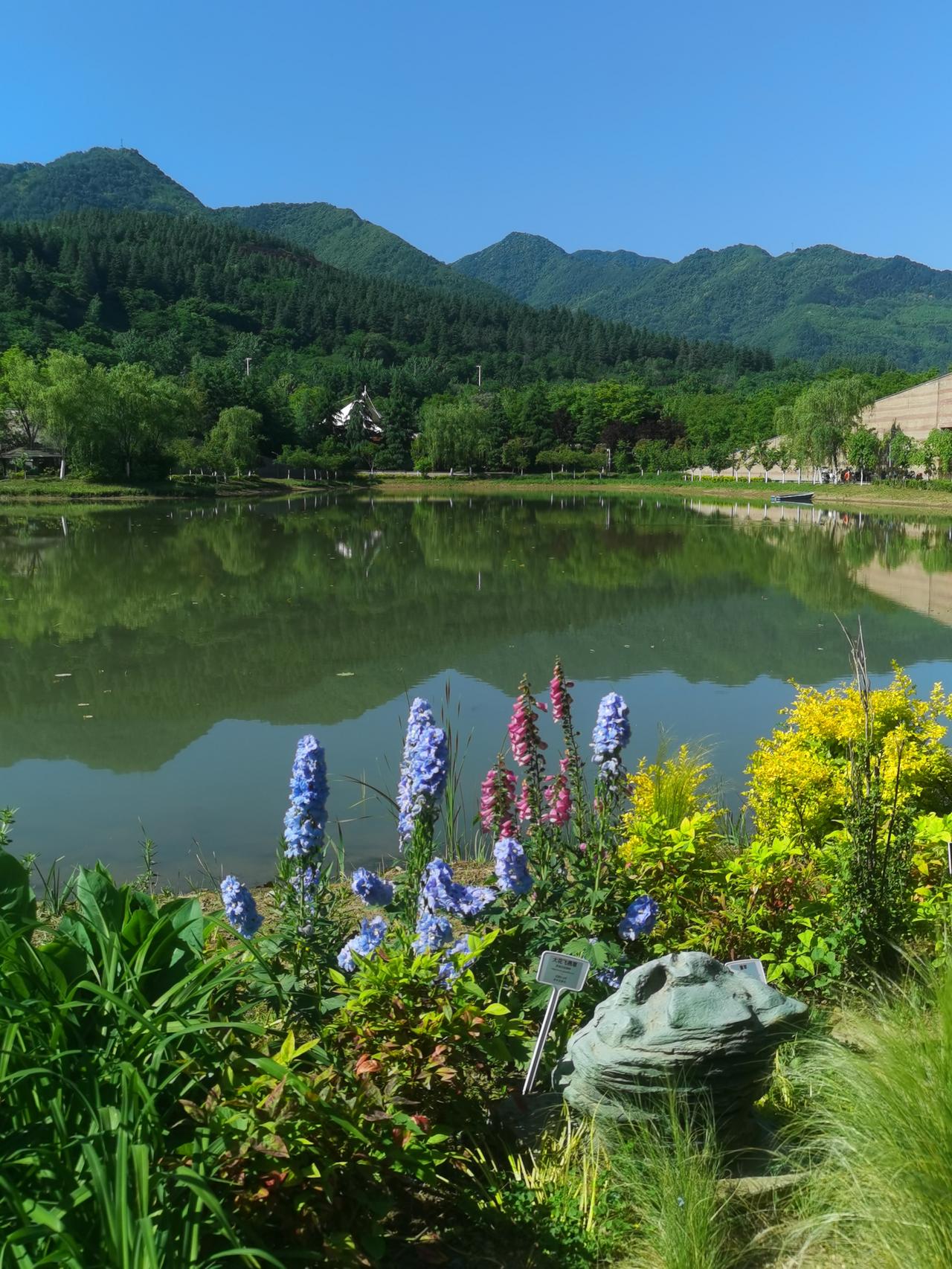 我们五月四日一大早从西安出发，到秦岭国家植物园游览了一上午，真让人赏心悦目、心旷