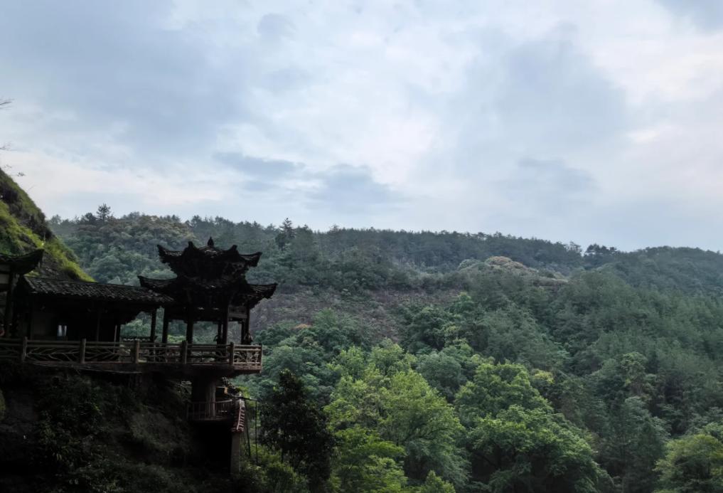 美国信心崩了！油价暴涨引发全民愤怒
亲爱的朋友们大家好，我是海林小百科，今天我们