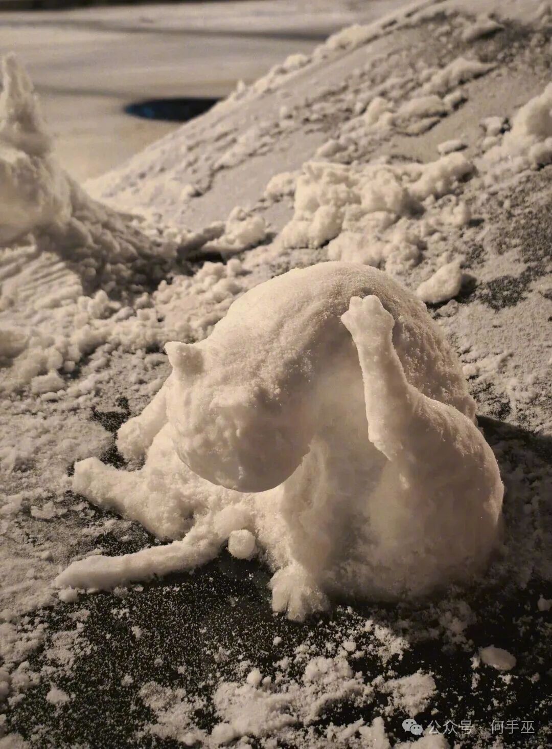 当你有一个朋友想看小猫舔屁股 