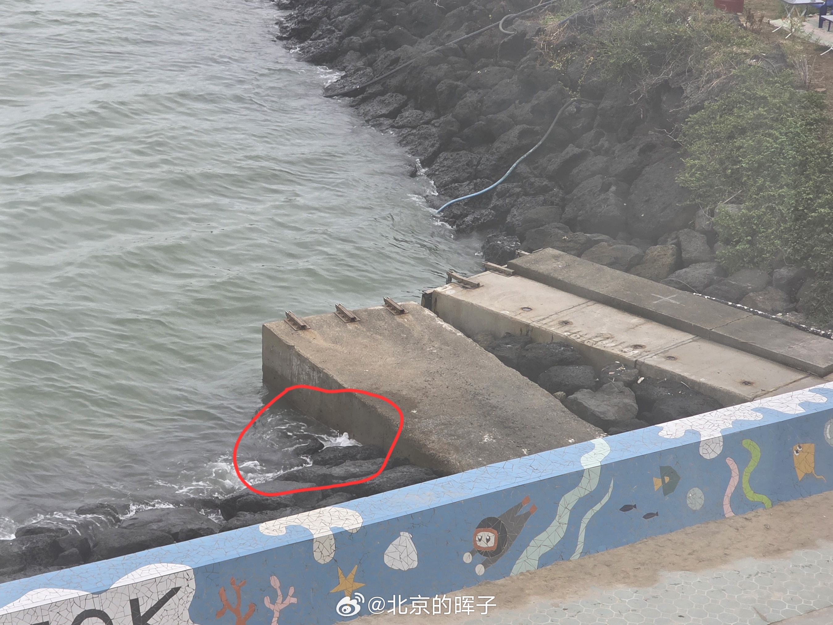 一家四口翻越隔离孩子被浪卷走失联这两天涨潮的时候风浪很大，昨天傍晚眼瞅着一个十岁