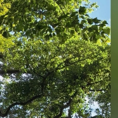 云熠星河🌌每日一善 事实上，成功仅代表了你工作的百分之一，成功是百分之九十九失