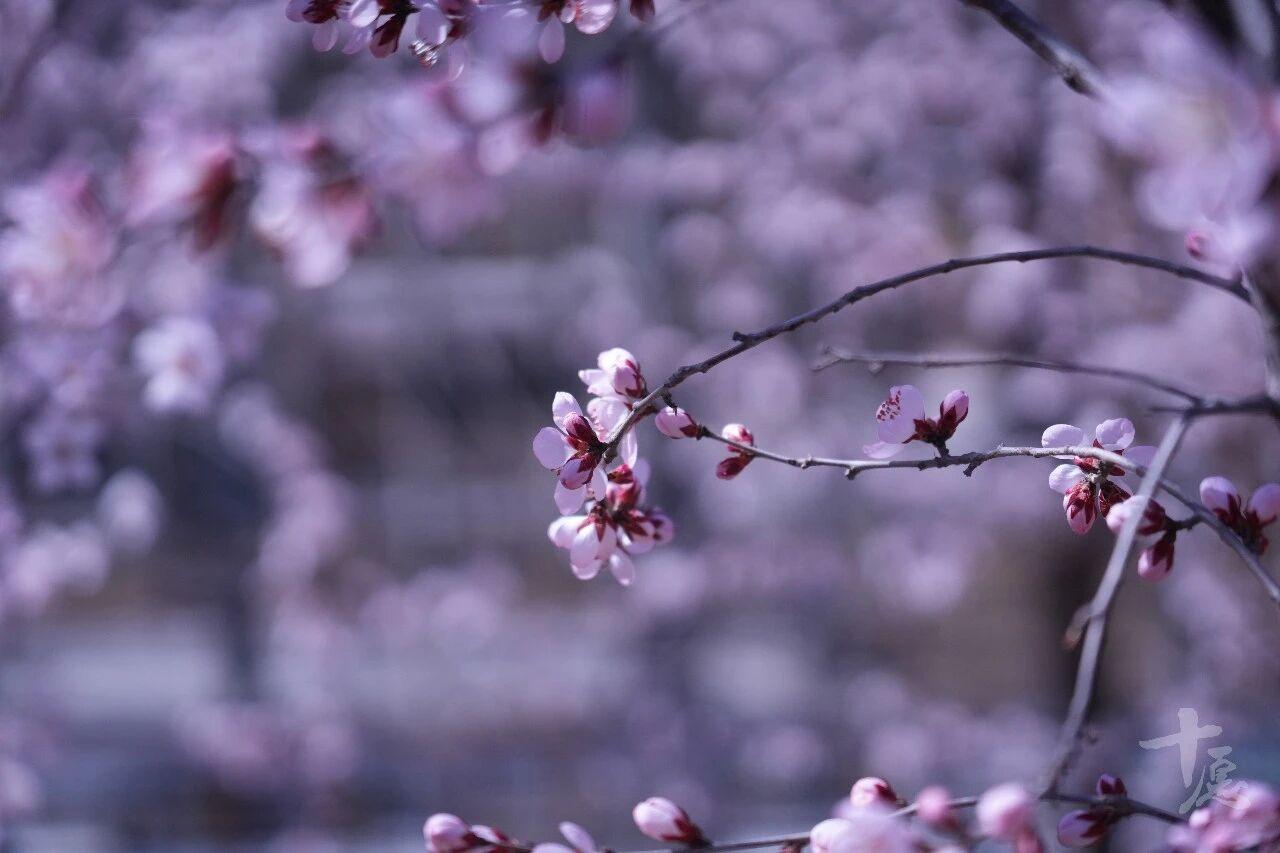 万事万物皆有定数，
凡事不可强求而行。
只要尽力而为，
方可随缘自在。