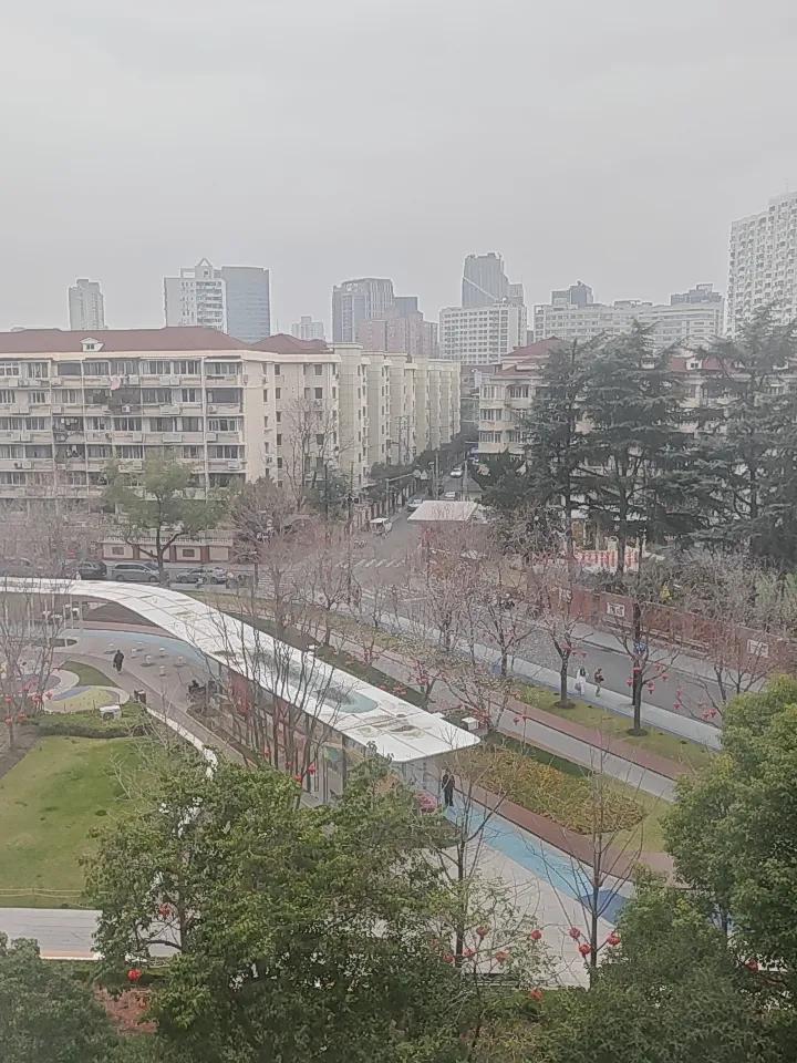 出来的。开花了，也不知道是开的什么花，我们小时候应该叫木子吧。美丽的小花，春天来