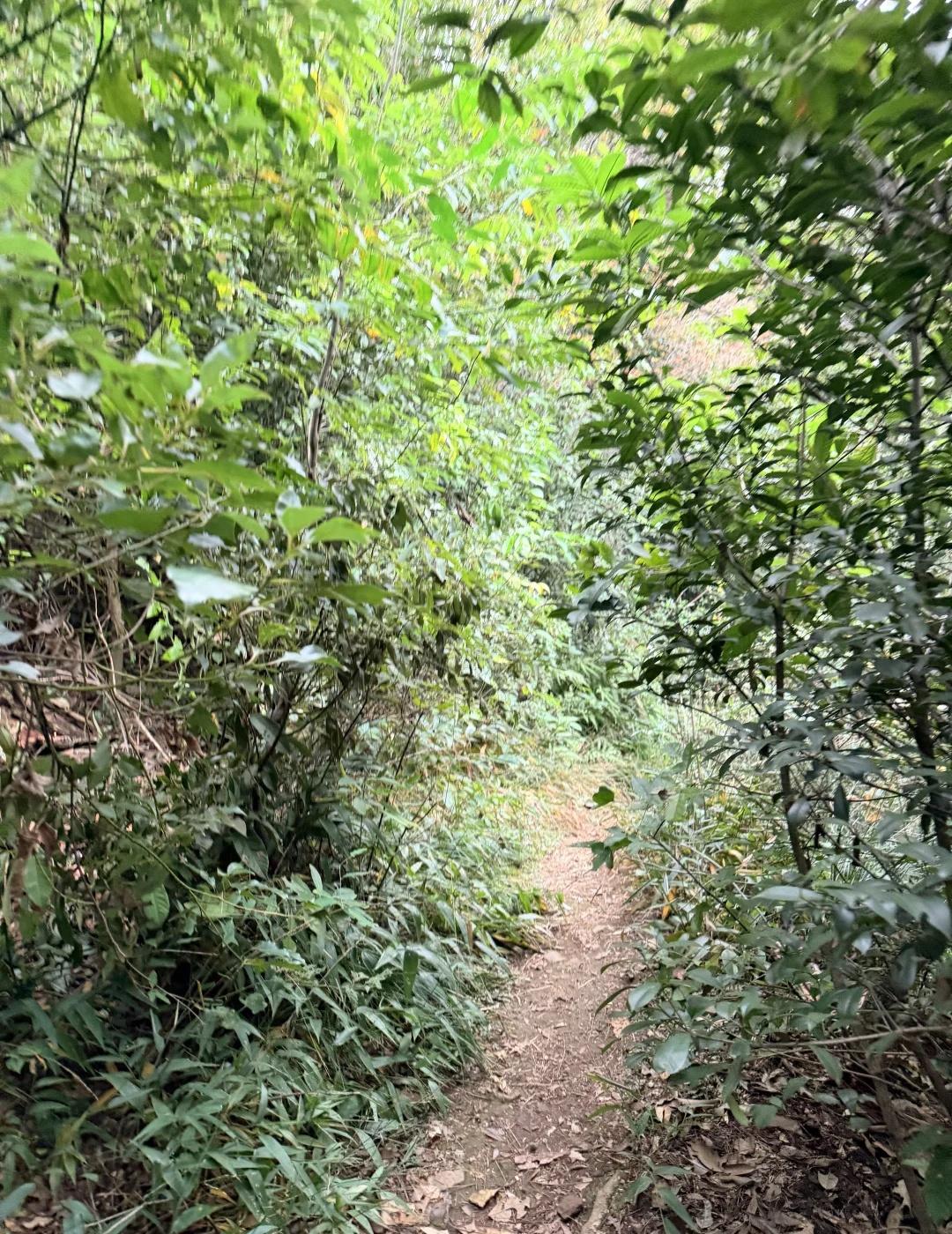 大宋108越野赛探路！21KM隐藏玩法揭秘🏃
下周就要跑大宋108越野赛21k