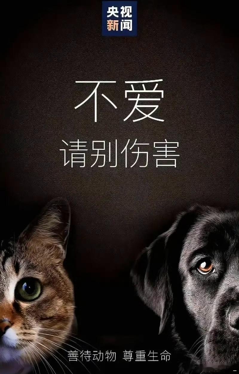 我支持《反虐待动物法》立法！麻烦大家替它们发一封邮件……地球不只属于人类，世界应