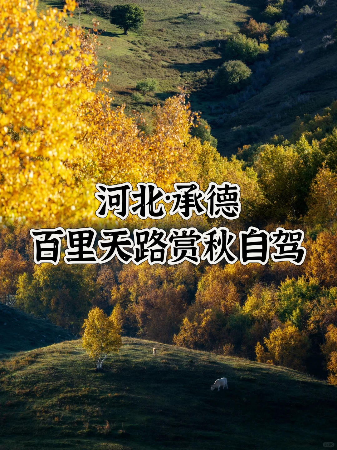 河北旅行｜承德百里天路赏秋自驾指南