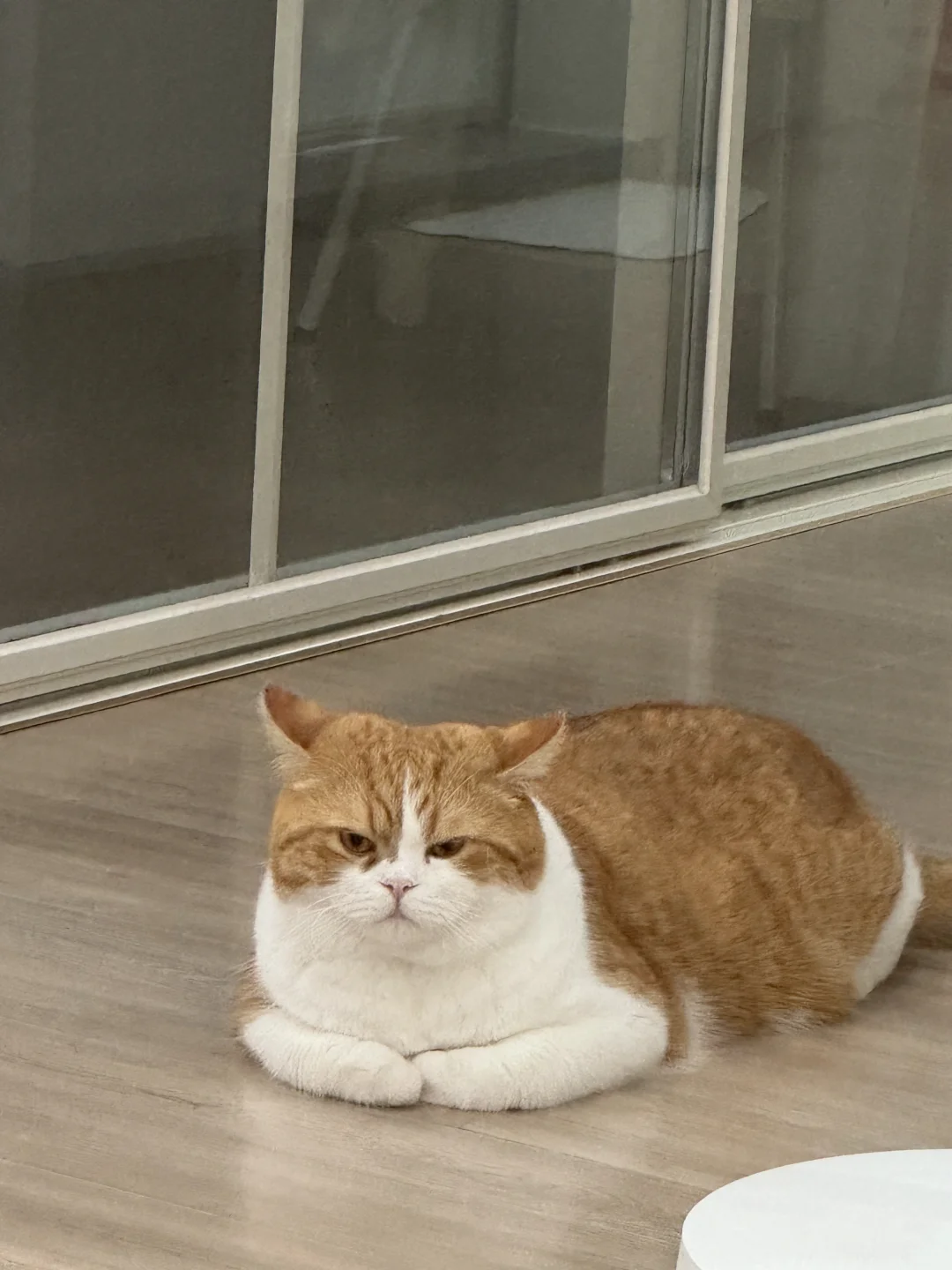 小脑瓜在想什么呢