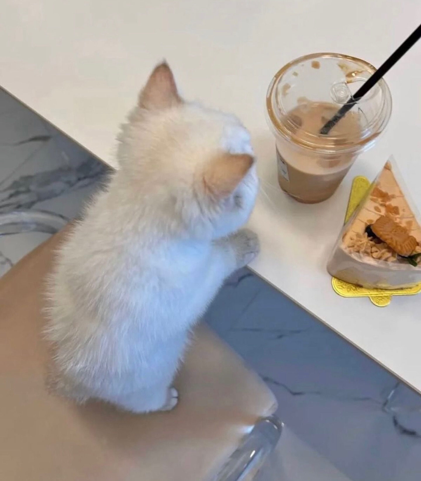 饭点了 ​​​