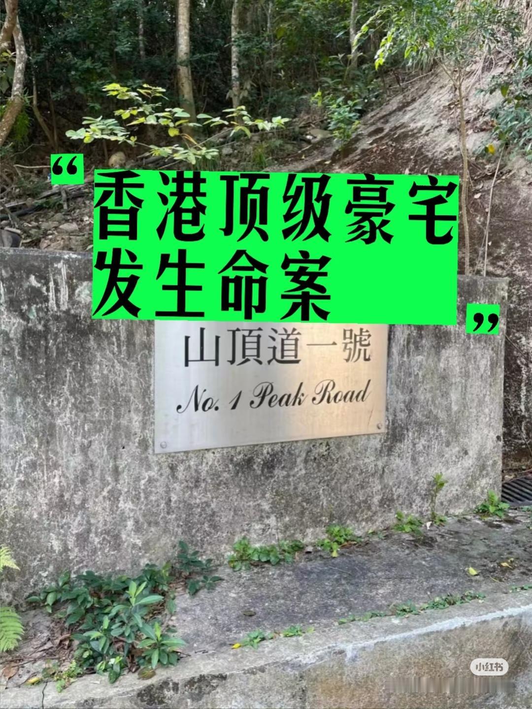 香港豪宅双尸惨案：抑郁母亲的绝望绝响
 
香港港岛南区寿山花园一豪宅内，发生了一