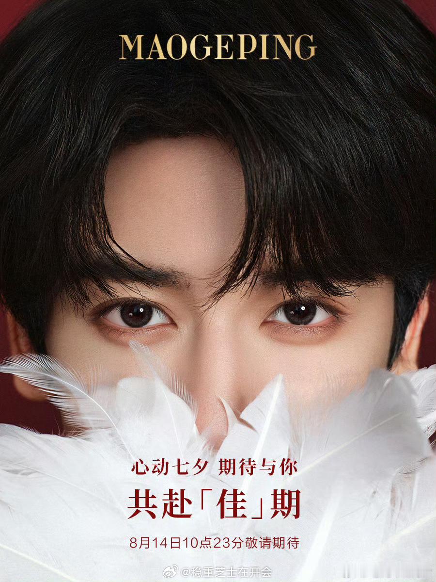 一眼“鑫”动，即将揭晓 