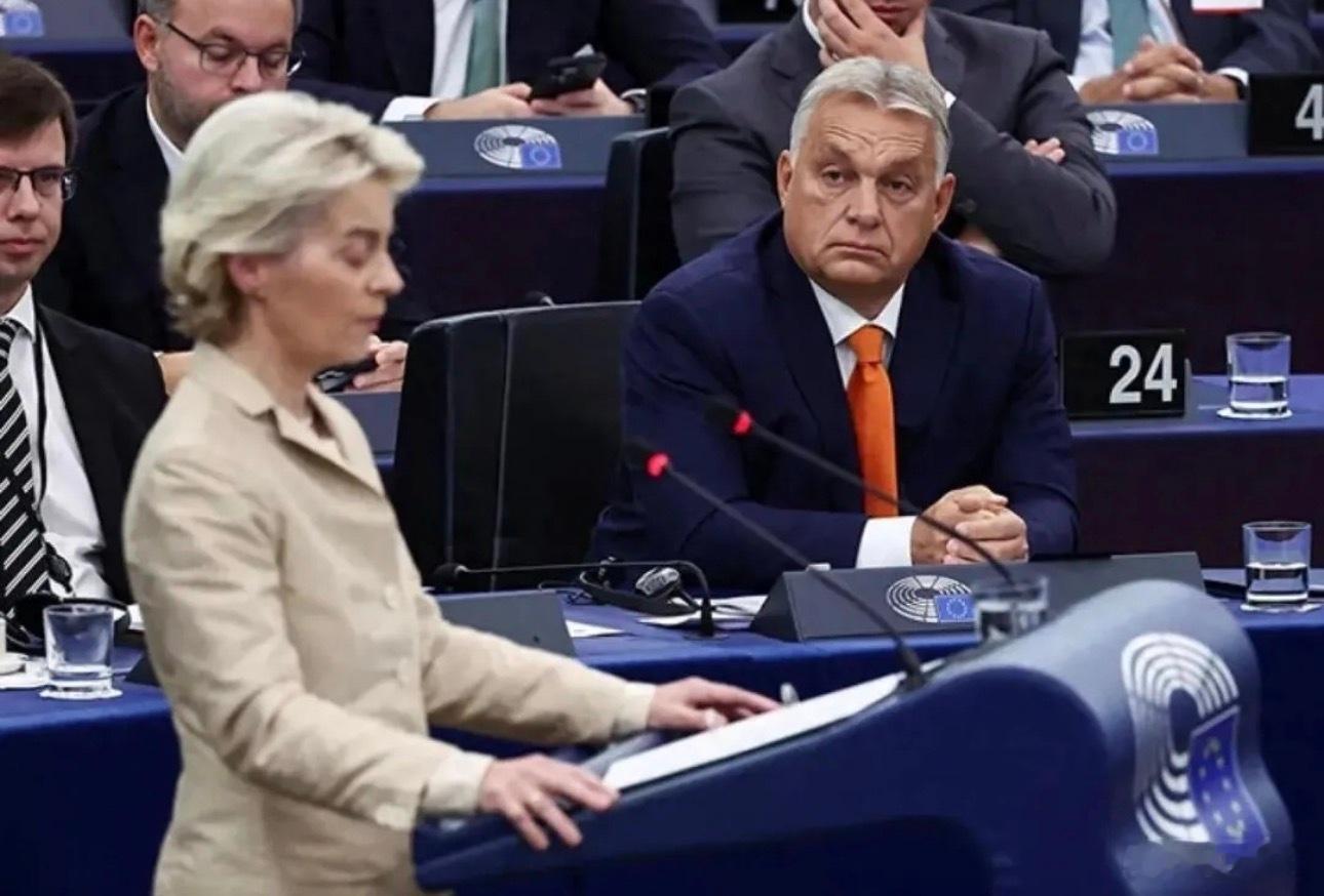 ‼️ 欧盟委员会主席冯德莱恩在2026年1月20日达沃斯论坛正式宣布，欧盟已决定