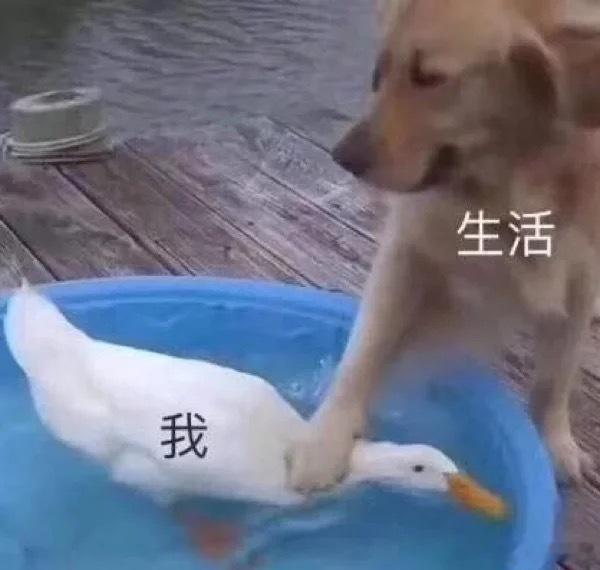 纸尿裤 有毒不知道这个世界还有什么是安全的？如果婴儿的环境都有危险，即使他本身是