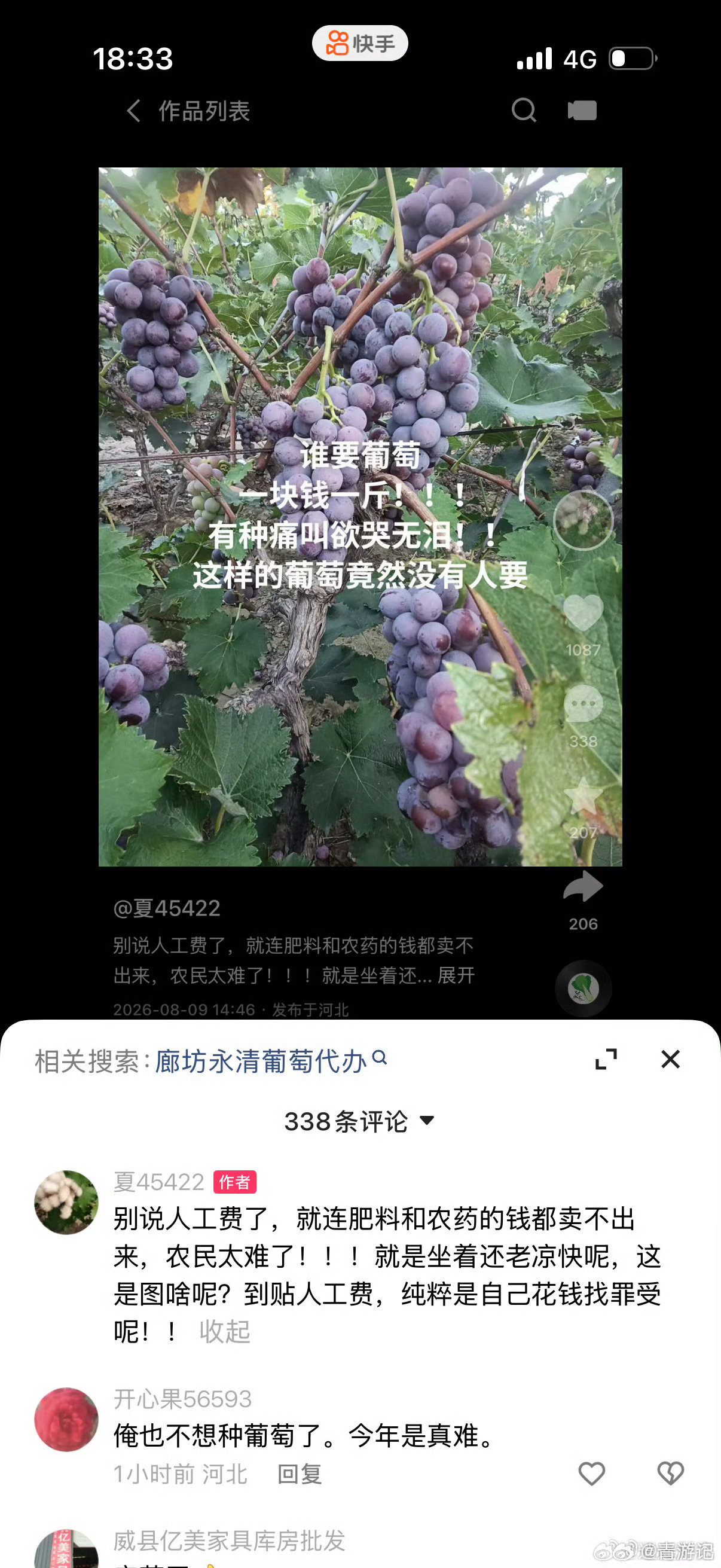 俺们那嘎达，阳光玫瑰葡萄值钱的时候，有实力者跟风租地建葡萄园子，采摘、批发、零售