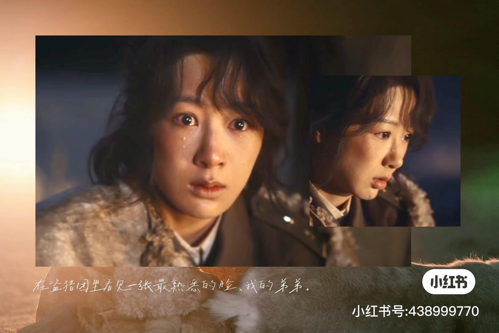生命树央一重播口碑大剧《生命树》登陆央视一套重播，再度和广大观众见面。作为聚焦高