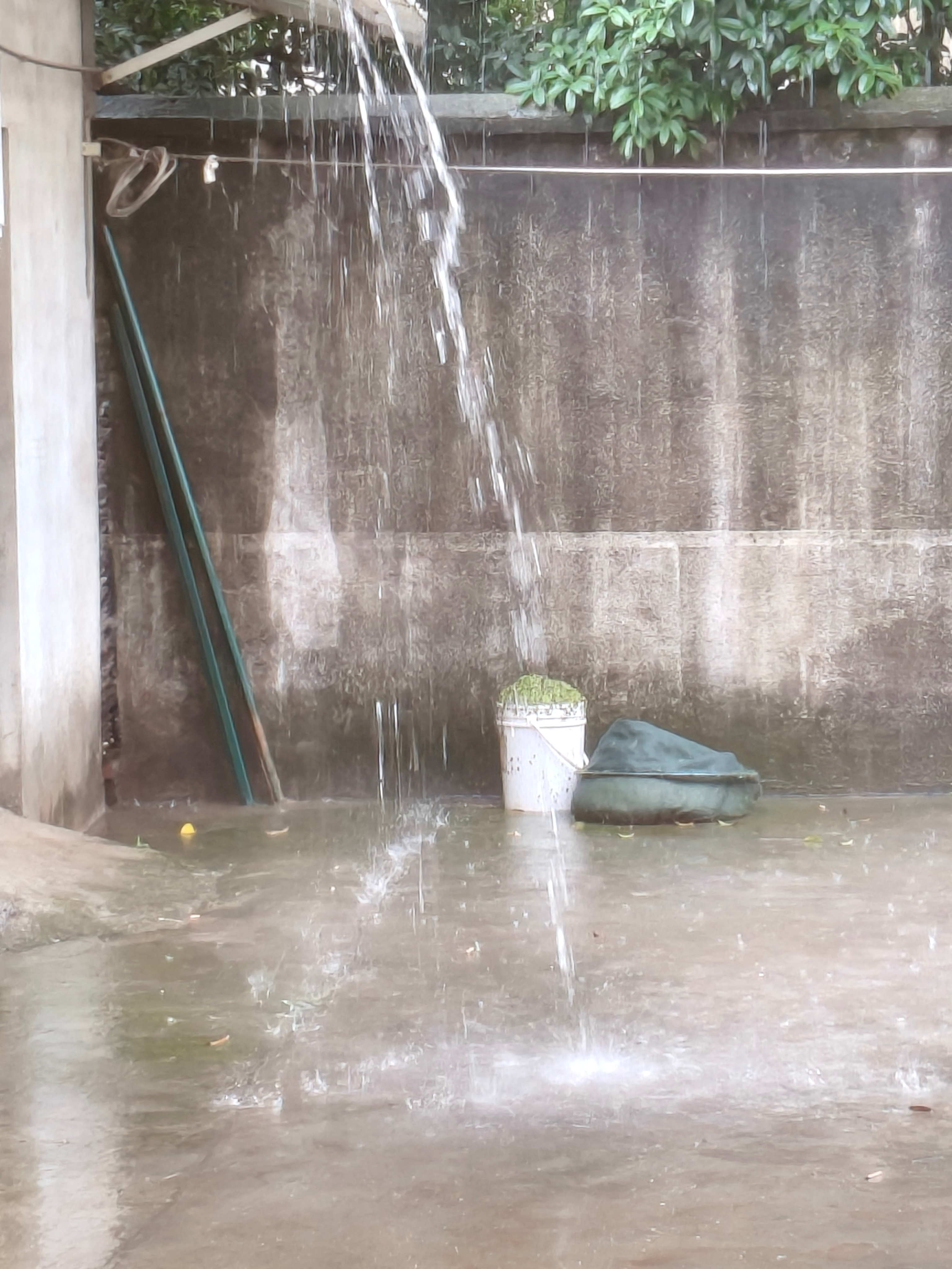 这么大的雨我就扔个垃圾裤脚已经全湿了呵呵讨厌梅雨季 