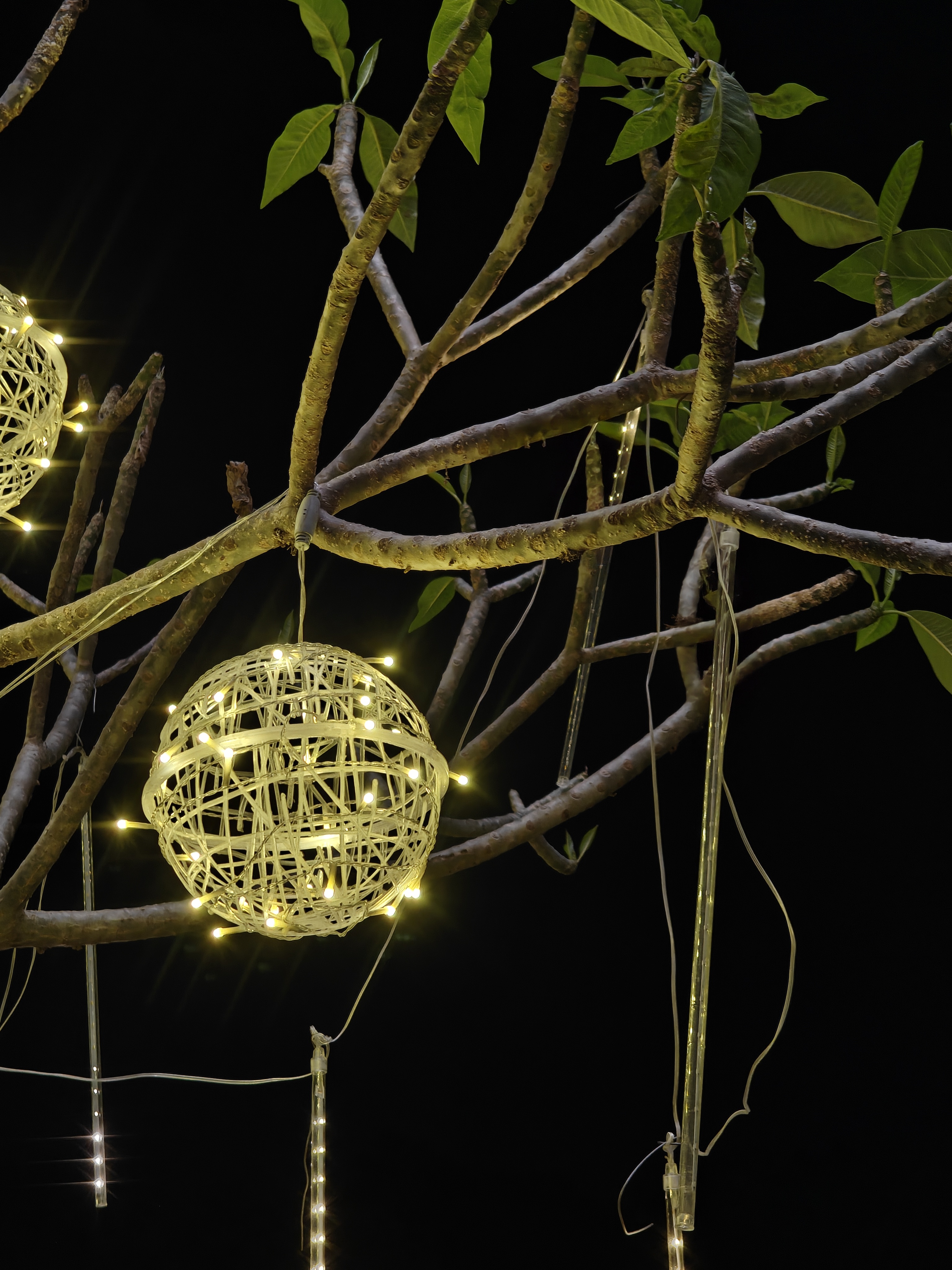 这个点儿的深圳多少还是有些凉的... 深圳