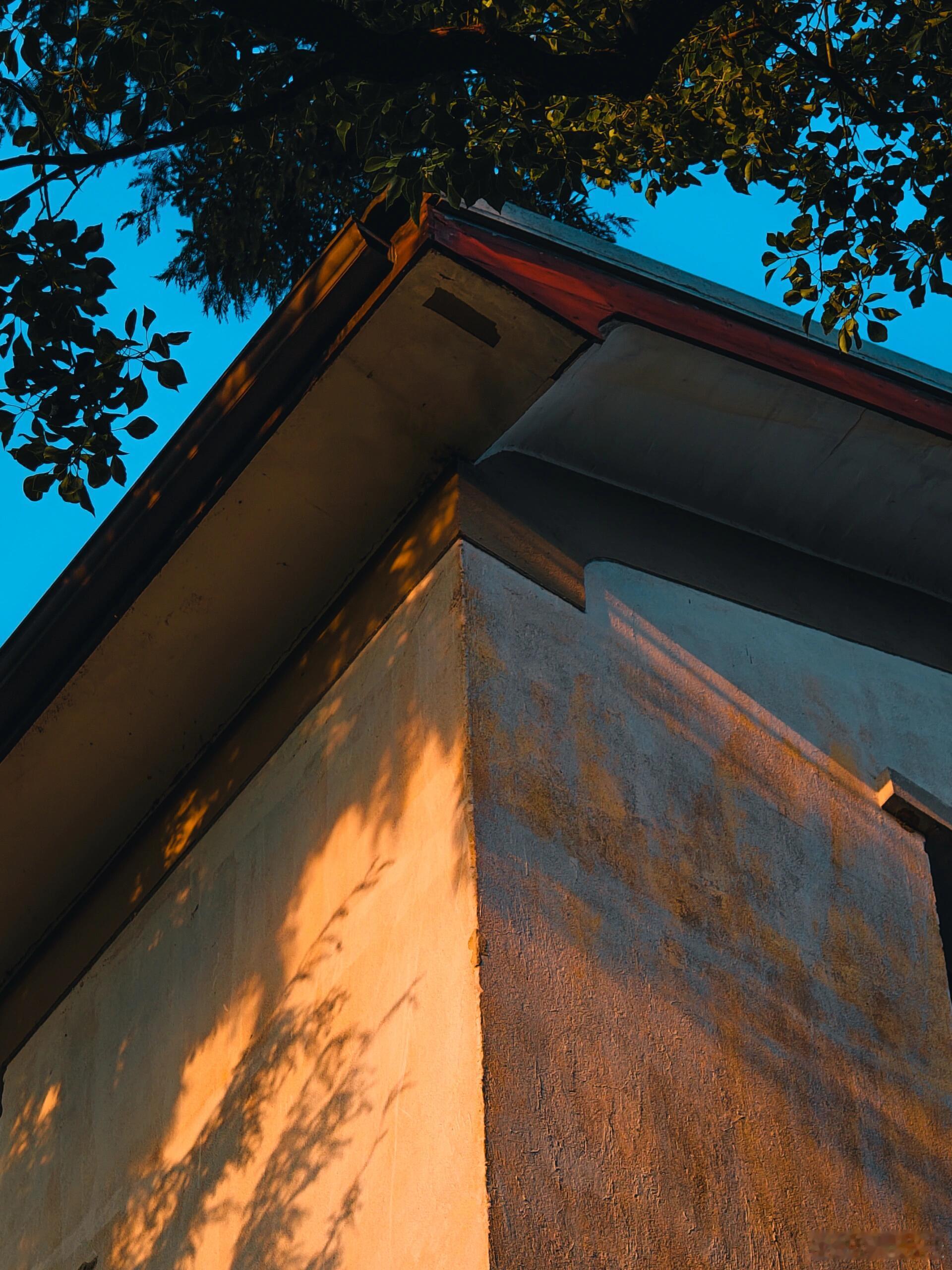 在夜晚我爱一切泪丧的事物胜过爱你像一朵向日葵朝向四季腾出体内的空荡，感受过风现在