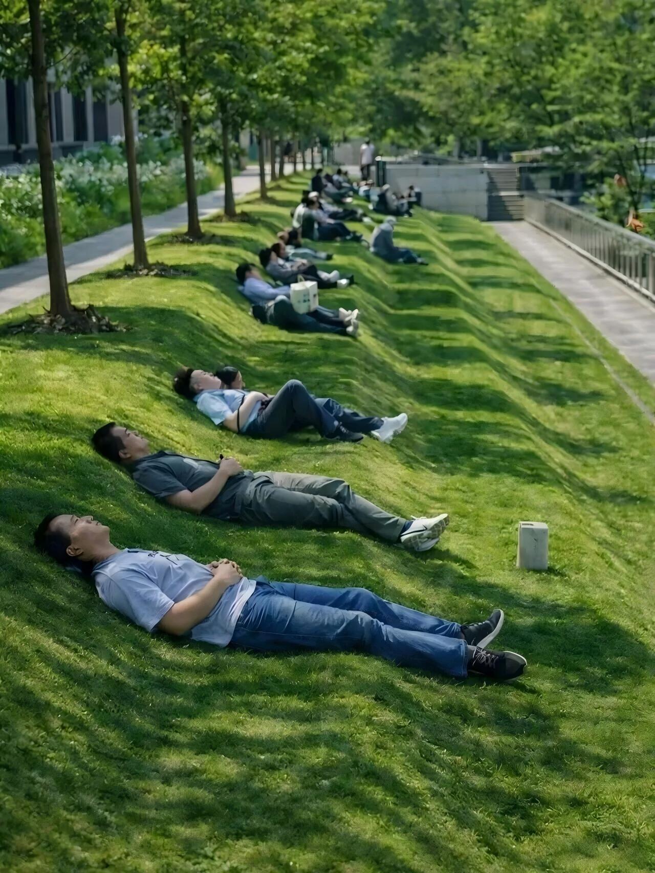 好的园林景观，懂得允许大家就地躺平 
海边弧形木平台、彩色休闲躺椅、林荫斜坡、缓