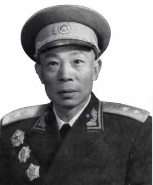 1949年，清剿湖南6万残匪的军长杨梅生路过小镇，见一乞丐老太酷似亡母，派警卫去