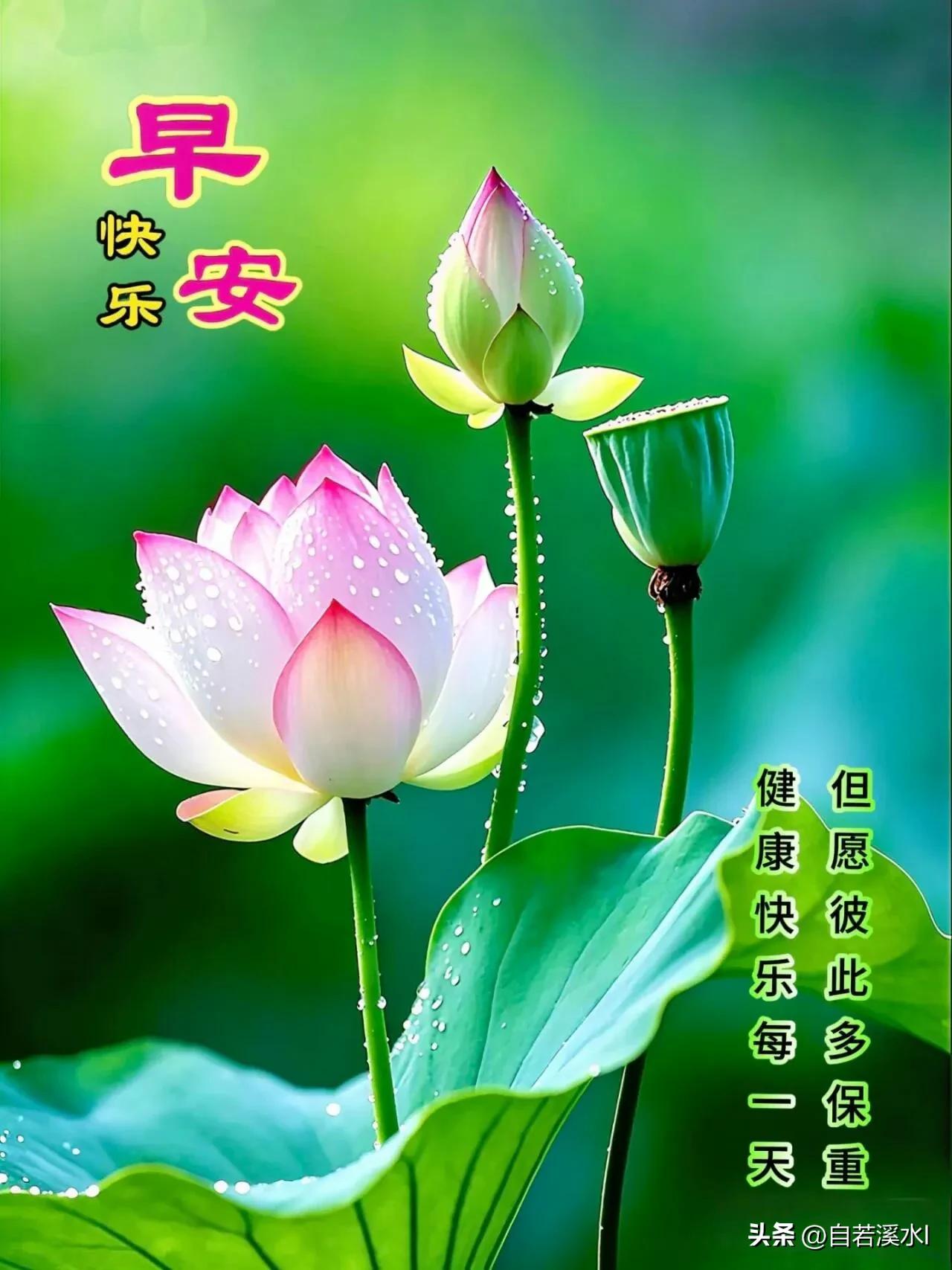 不必匆忙，自有光芒，早安，认真过好今天。