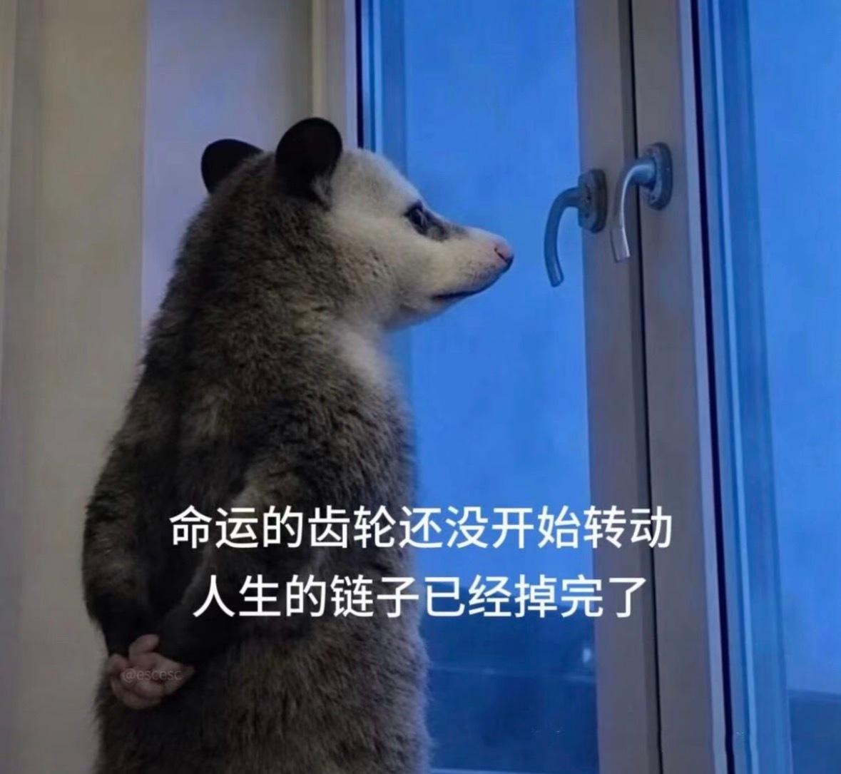 累到不想上班穷到无法辞职又年轻到无法退休在这样的日子里我还要挣扎着減肥哈哈哈哈 