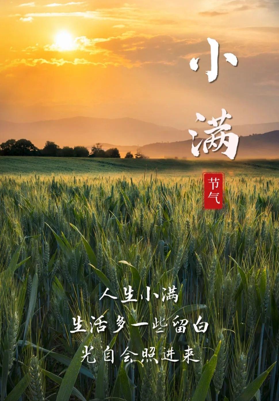 忆秦娥·小满寄怀
榴花烈，风翻麦浪连云叠。连云叠，蜻蜓立角，蝶穿窗隙。
蛙声催得