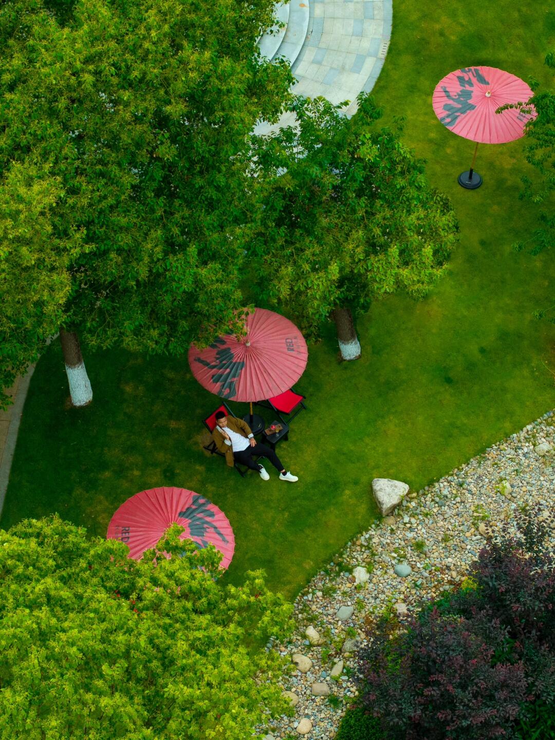 乐清咖啡，像滚筒洗衣机一样卷卷的呢～～