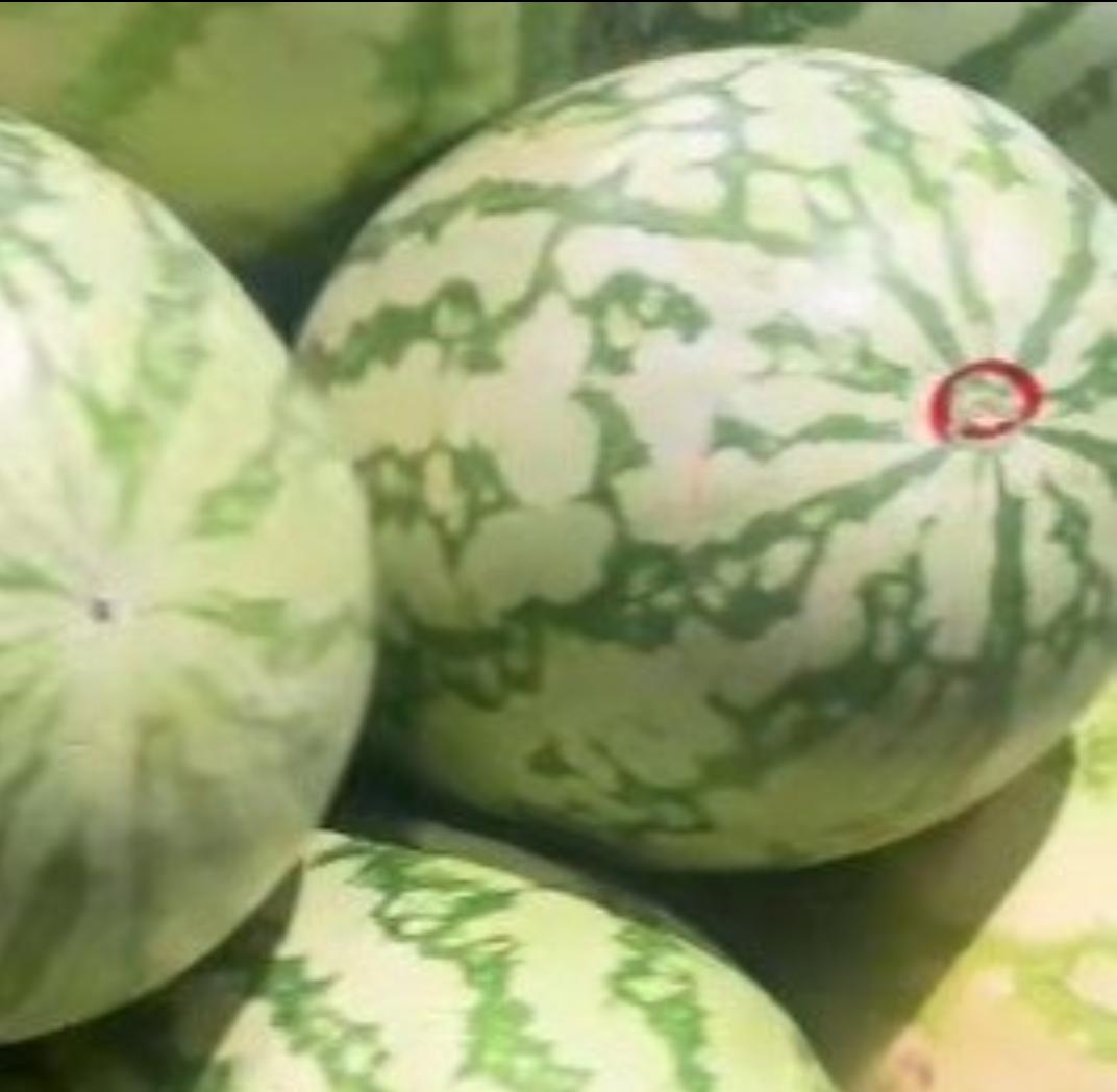 胖东来售卖的西瓜上为何有圆圈

不少人逛胖东来发现，售卖的西瓜表面画着红色、黑色