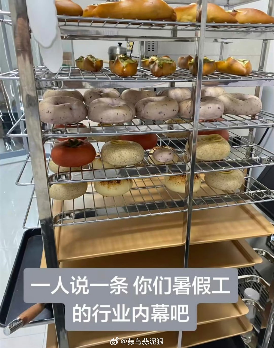 暑假工才是真正的315这才叫真正的去魅神器 