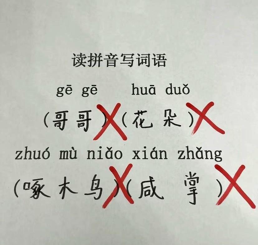 你是不是也有过这种感觉，看啥都觉得挺对，结果回头一看全错了？
就跟我昨天收拾厨房