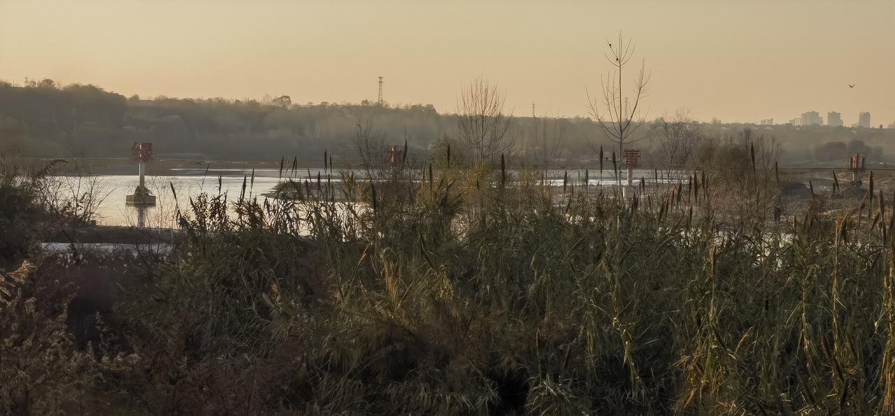 每日随手拍张照故乡.渭河冬意。