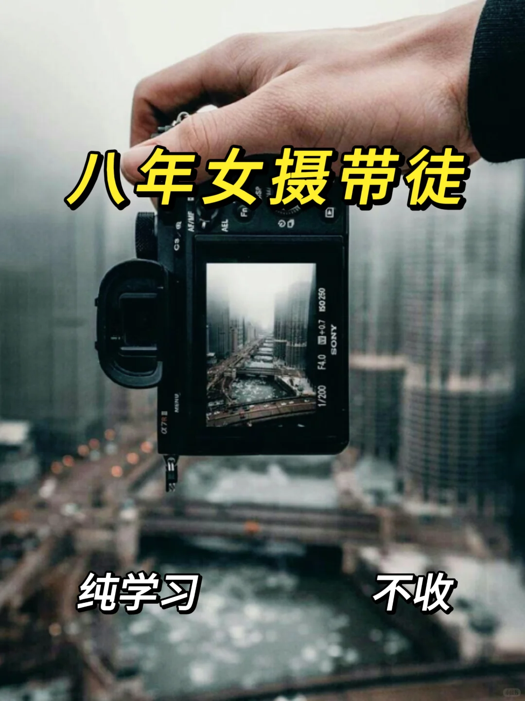 五一前好想交人摄影😭